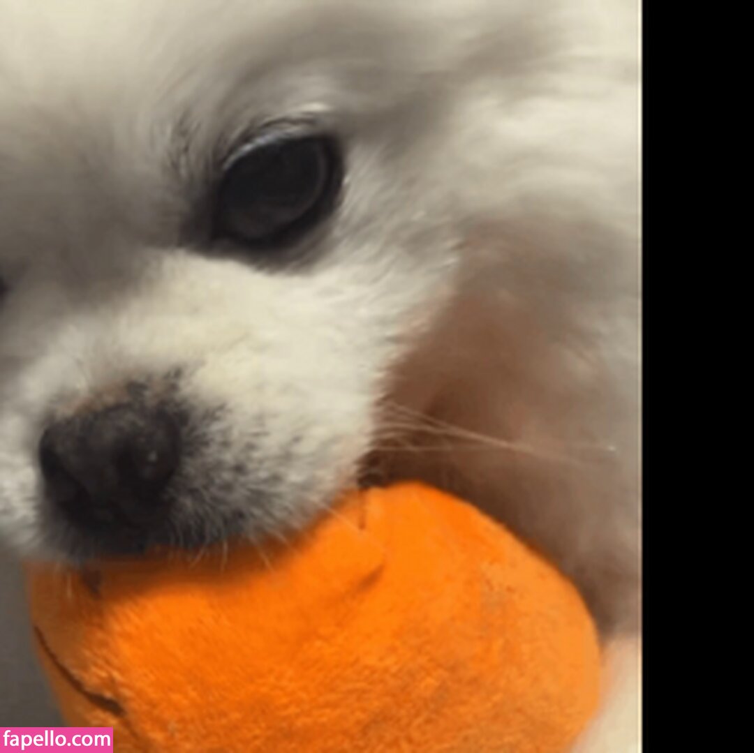 1004ysus / 1004yyyyyy / 둘기얏 Nude Leaked  Photo #106