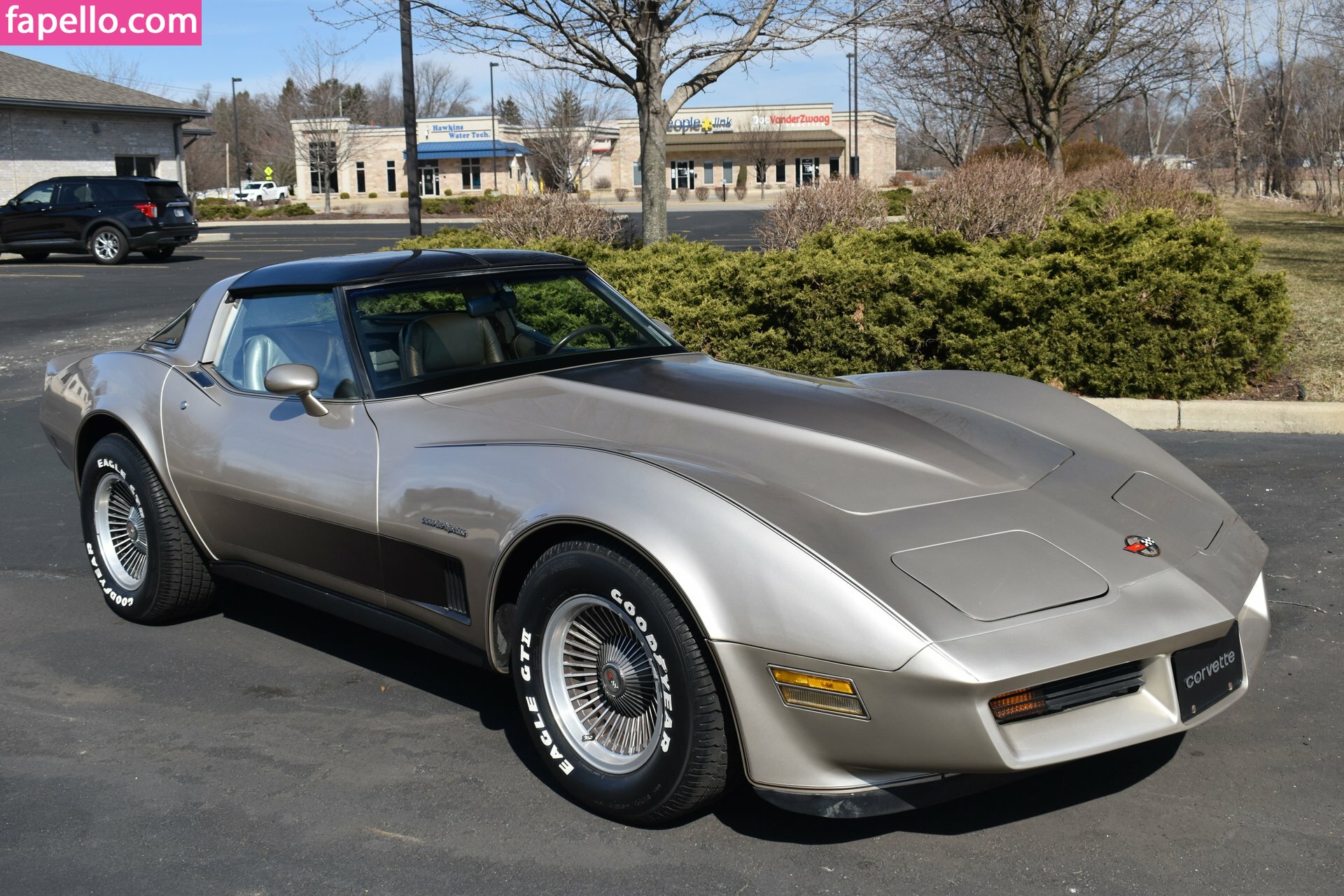1982.corvette Nude Leaked OnlyFans Photo #1