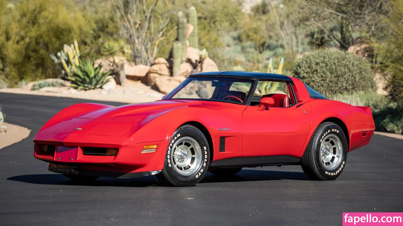 1982.corvette Nude Leaked OnlyFans Photo #19
