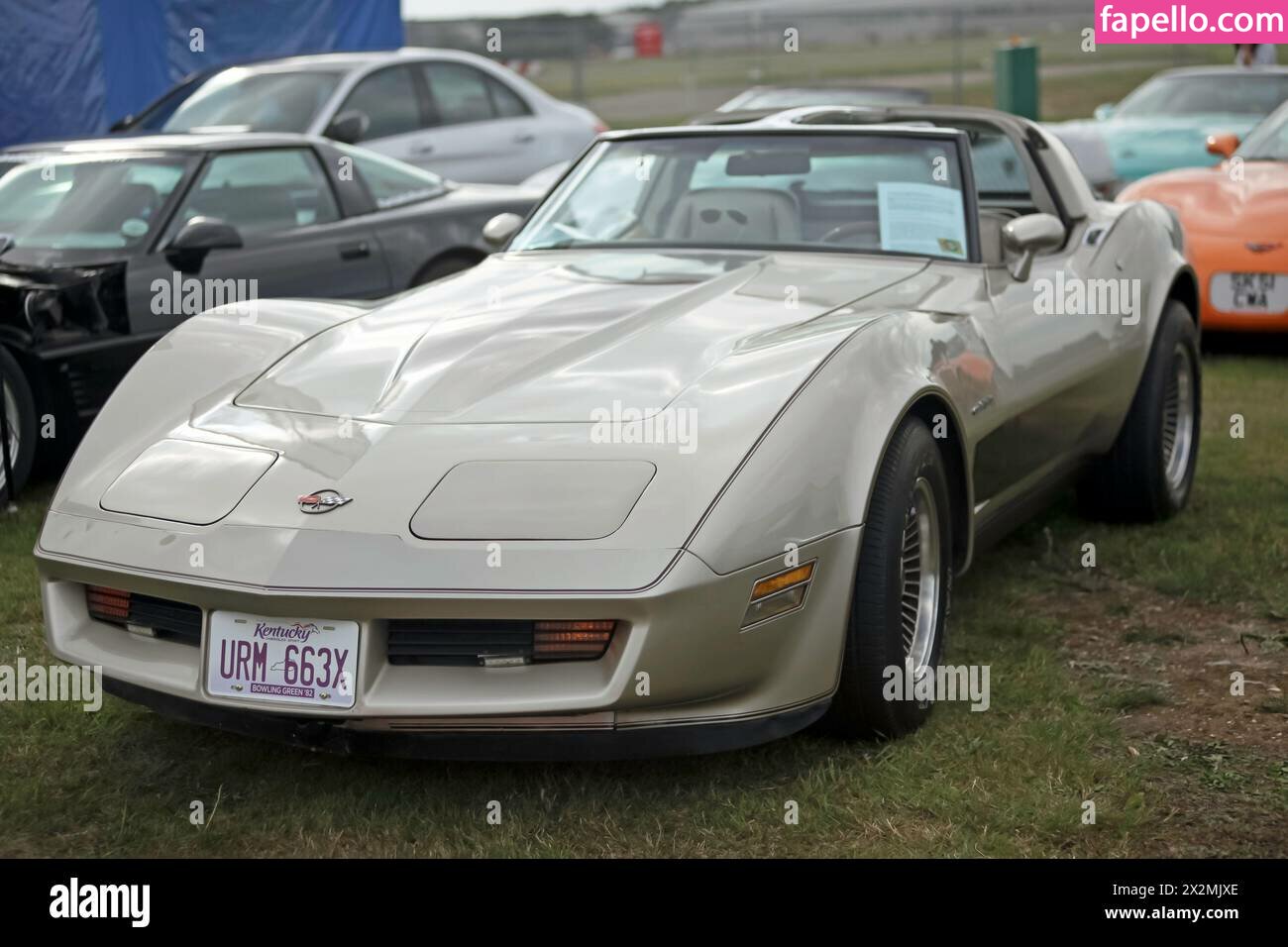 1982.corvette Nude Leaked OnlyFans Photo #22