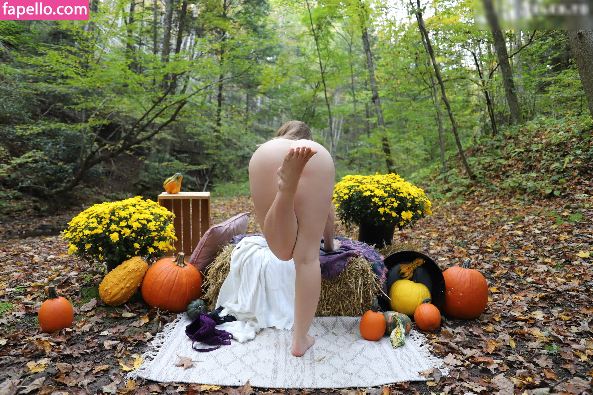 33156 Nude Leaked  Photo #435