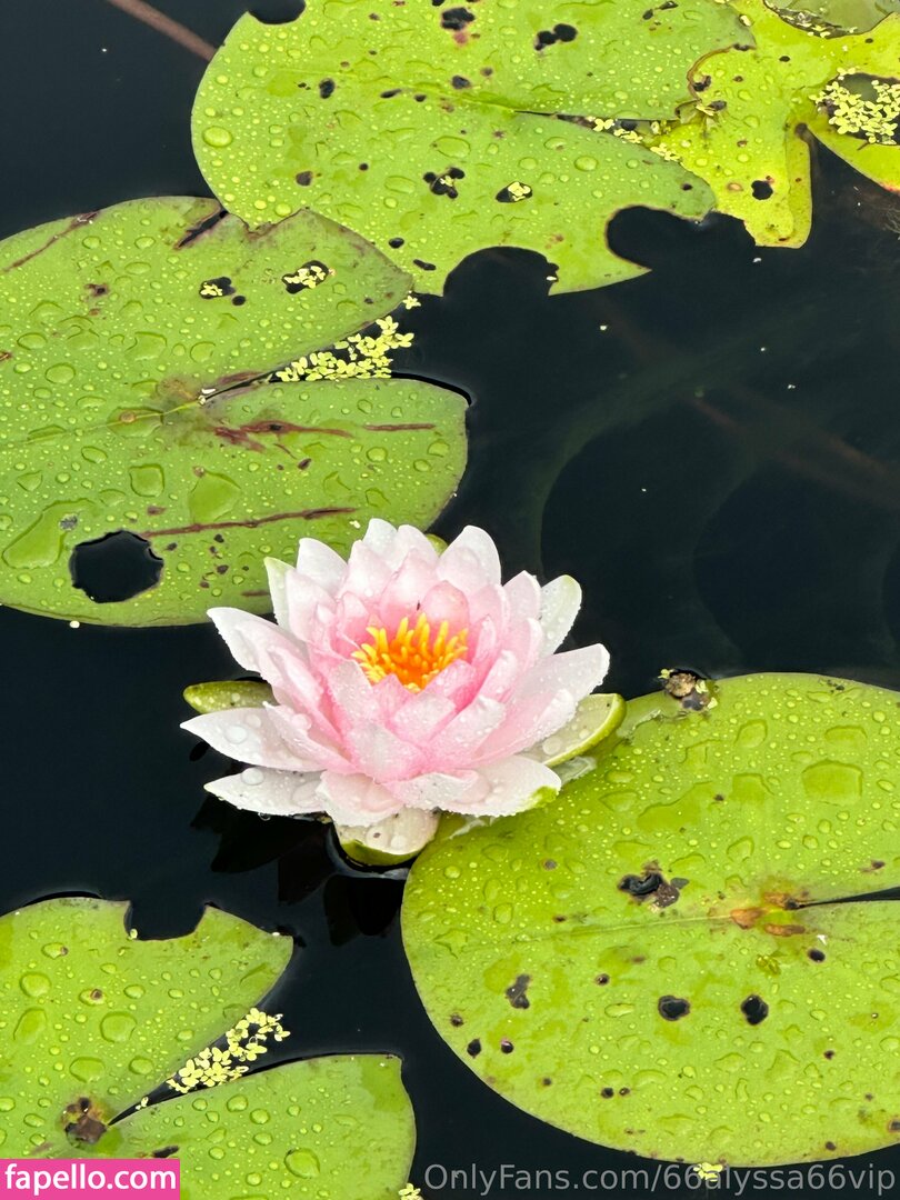 66_alyssa_66 / 66alyssa66 Nude Leaked OnlyFans Photo #4