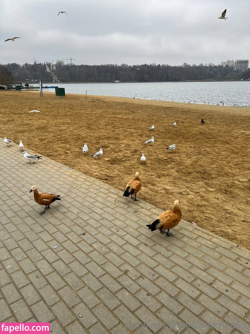 69kamilla69 / 6kkamila Nude Leaked OnlyFans Photo #17