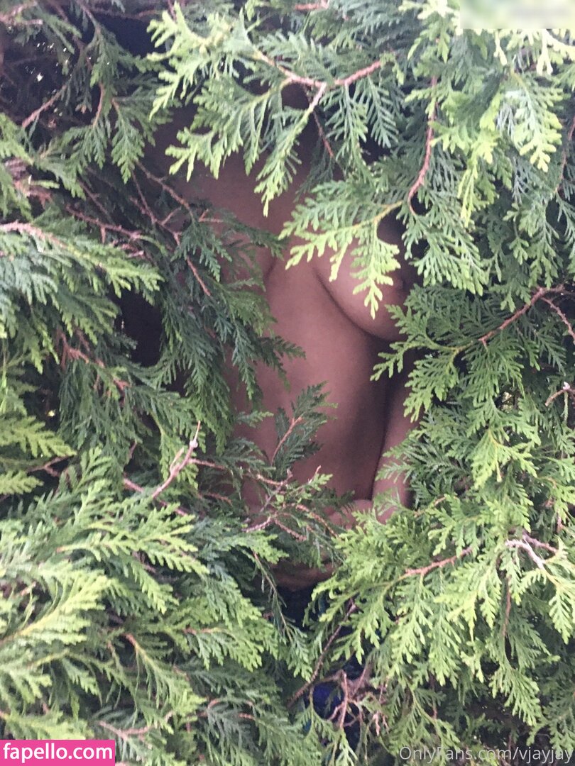 69wildhonig / 69wildhonig / vjayjay / vjayjay Nude Leaked OnlyFans Photo #21