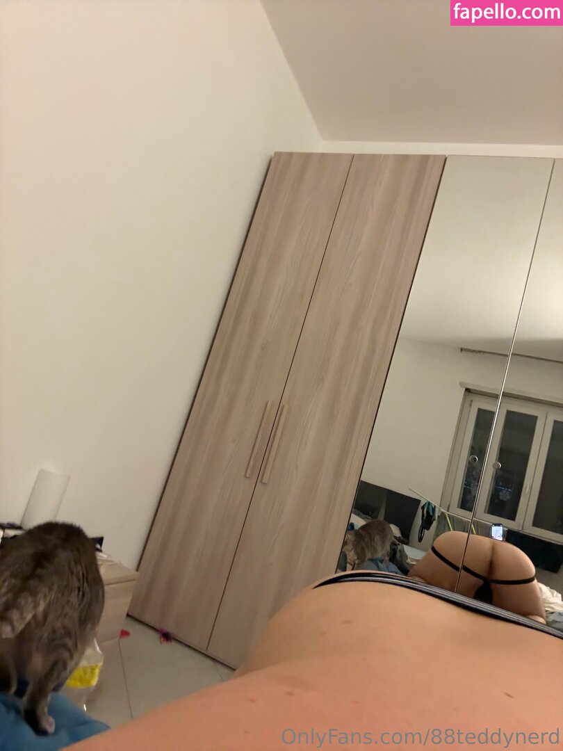 88teddy_nerd / 88teddynerd Nude Leaked OnlyFans Photo #12