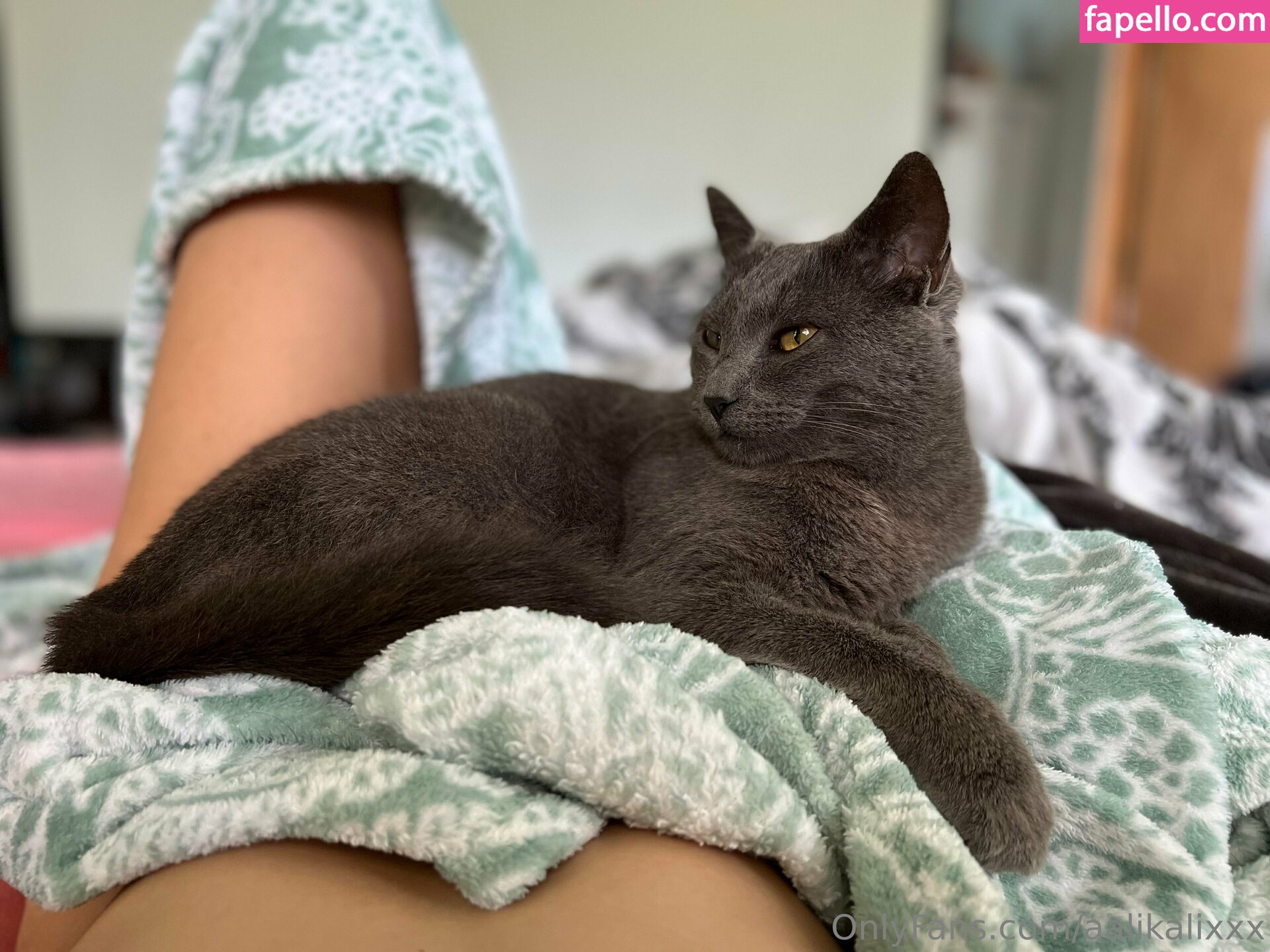 aalikalixxx Nude Leaked OnlyFans Photo #11