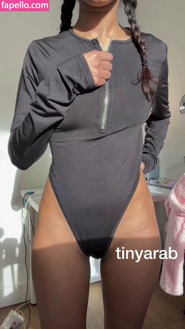 Aaliyah Yue / TinyArabBaby / tinyarab Nude Leaked OnlyFans Photo #6