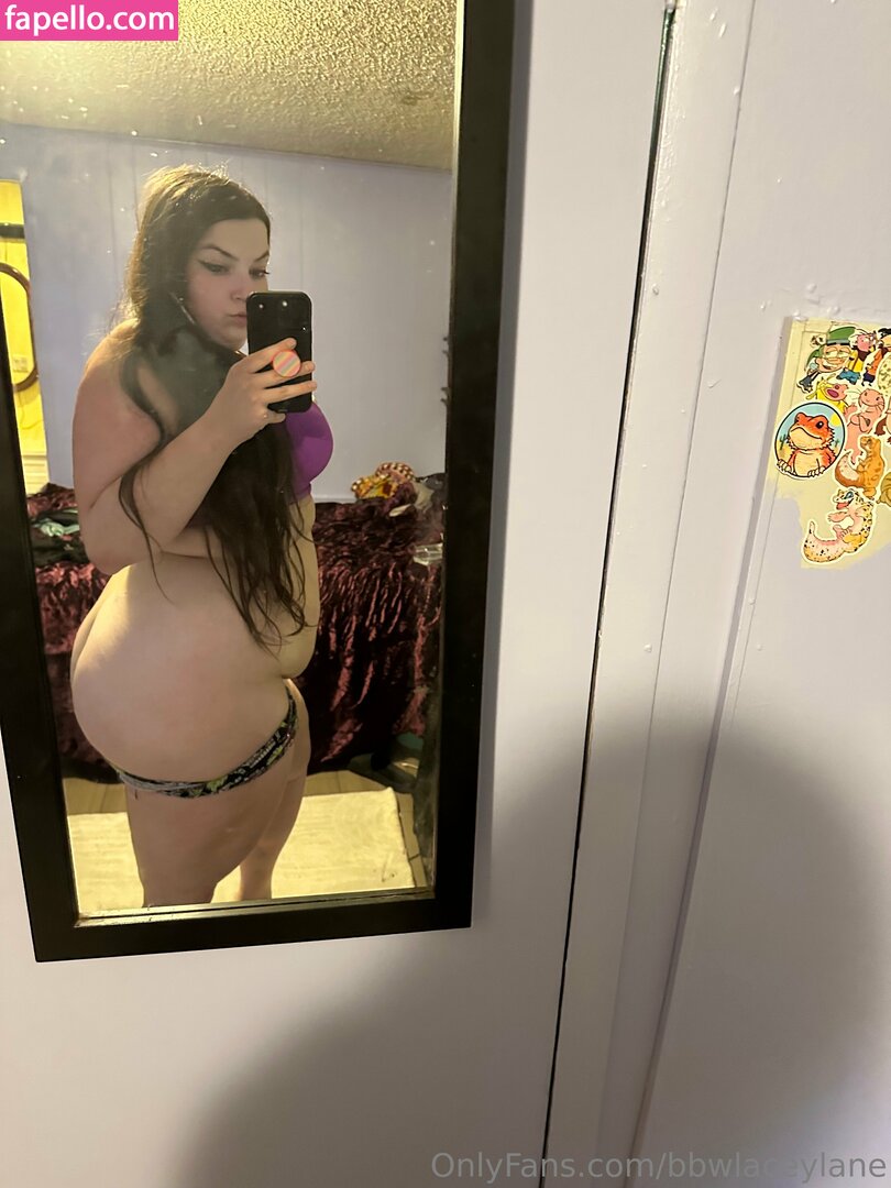 bbwlaceylane / laceylanelingerie Nude Leaked OnlyFans Photo #119
