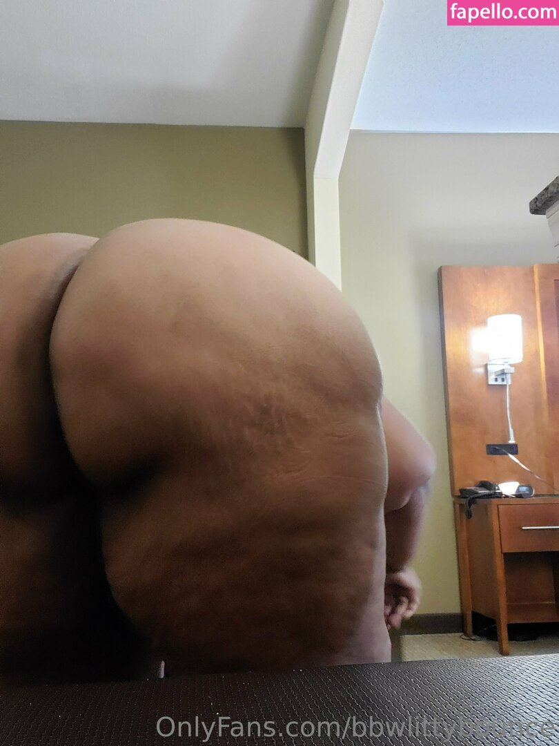bbwlittybounce Nude Leaked OnlyFans Photo #12
