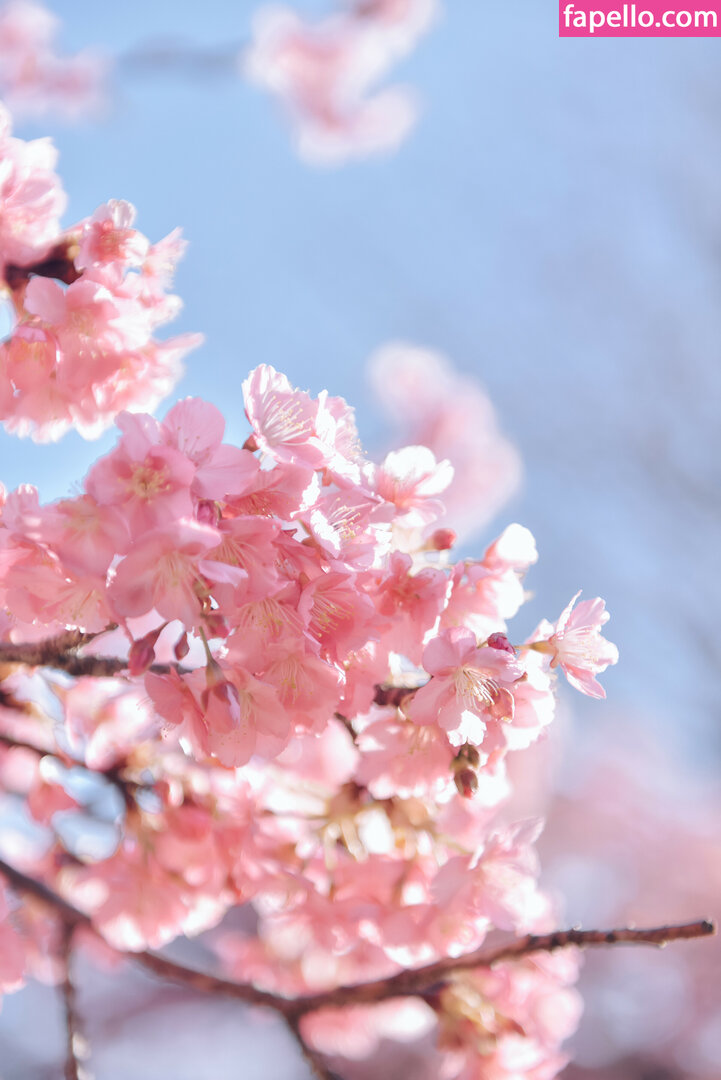 Ely Cosplay / Ely_eee / eeelyeee Nude Leaked OnlyFans/Patreon Photo #1230