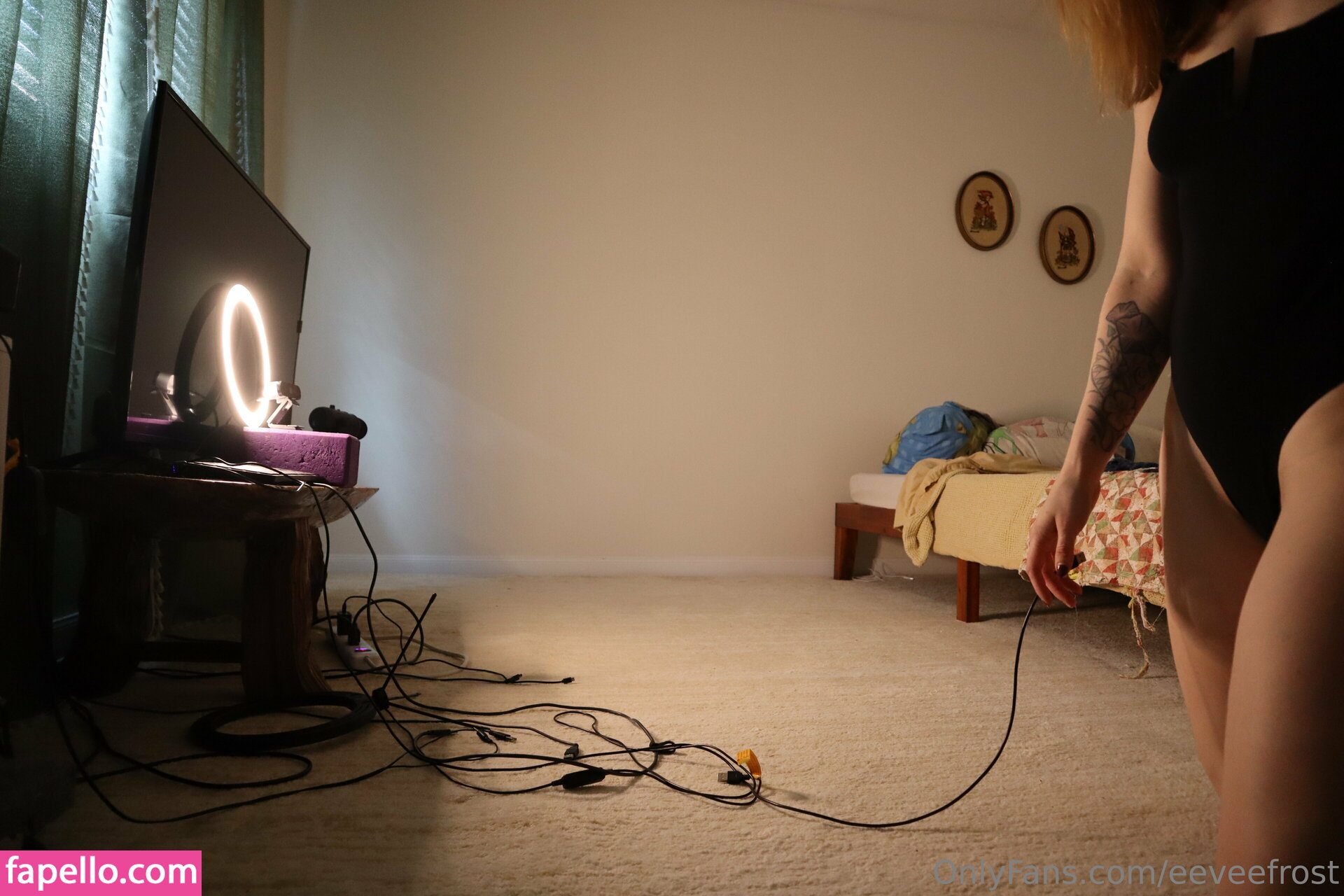 eeveefrost / eeveefrostofficial Nude Leaked OnlyFans Photo #1