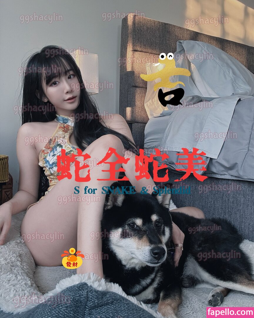 Ggshacylin Nude Leaked OnlyFans/Patreon Photo #521