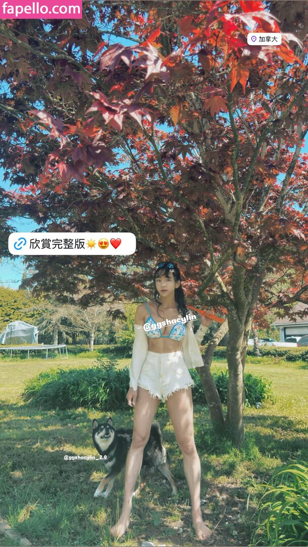 Ggshacylin Nude Leaked OnlyFans/Patreon Photo #574