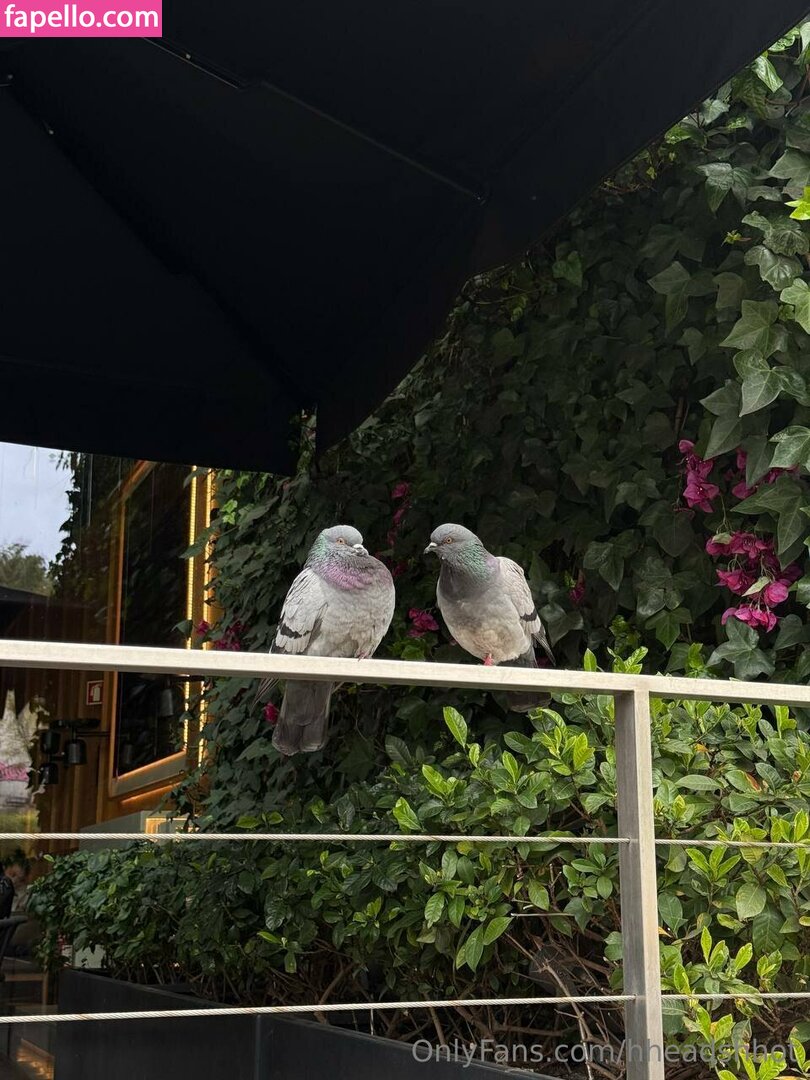 AliceBong / Hheadshhot / hheartshhot Nude Leaked OnlyFans Photo #1001