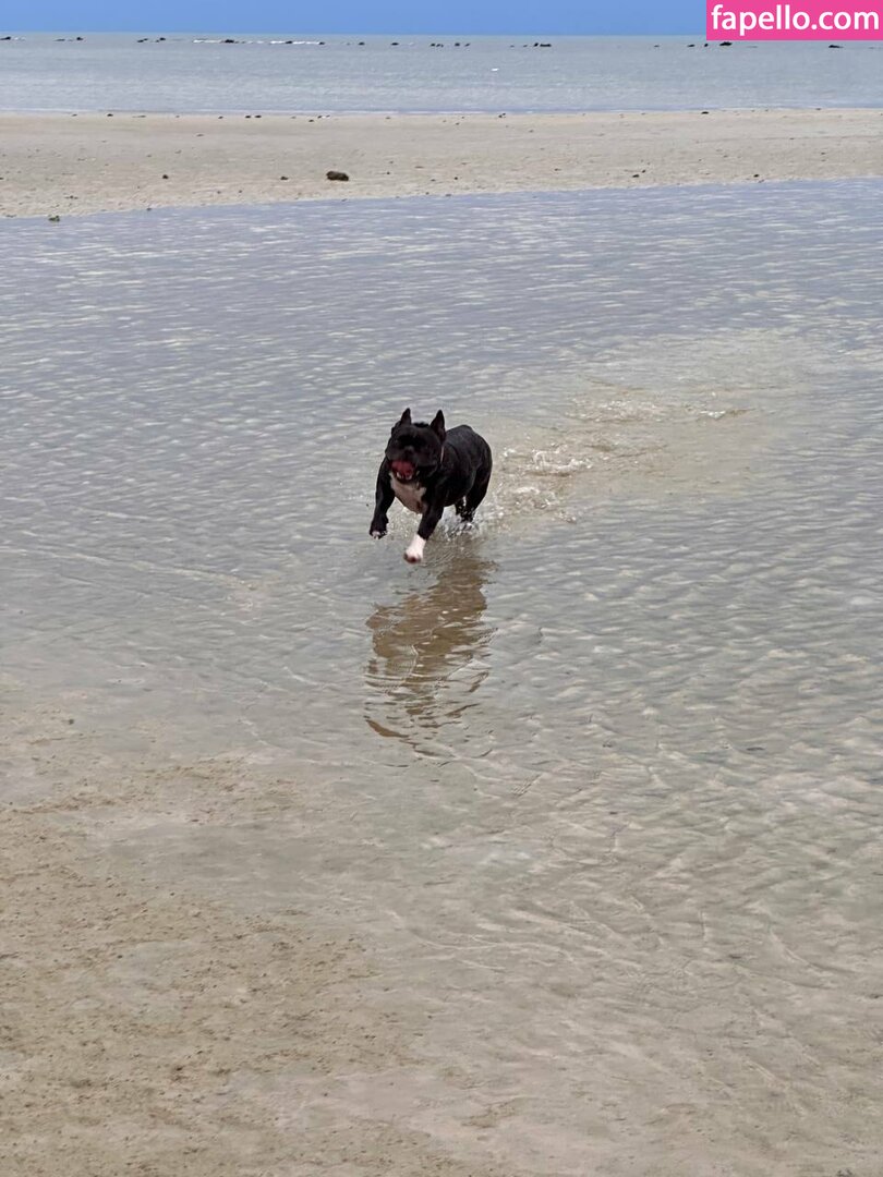 AliceBong / Hheadshhot / hheartshhot Nude Leaked OnlyFans Photo #1006