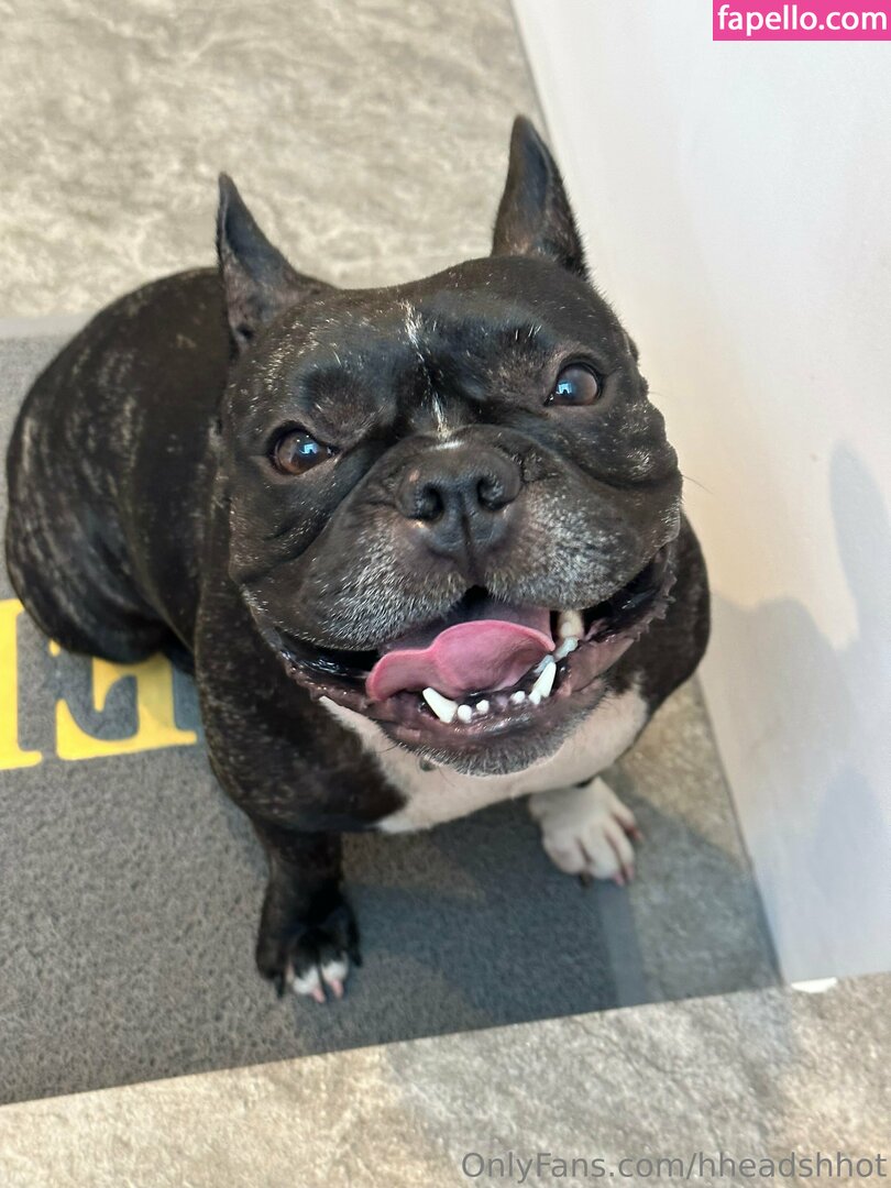 AliceBong / Hheadshhot / hheartshhot Nude Leaked OnlyFans Photo #1007