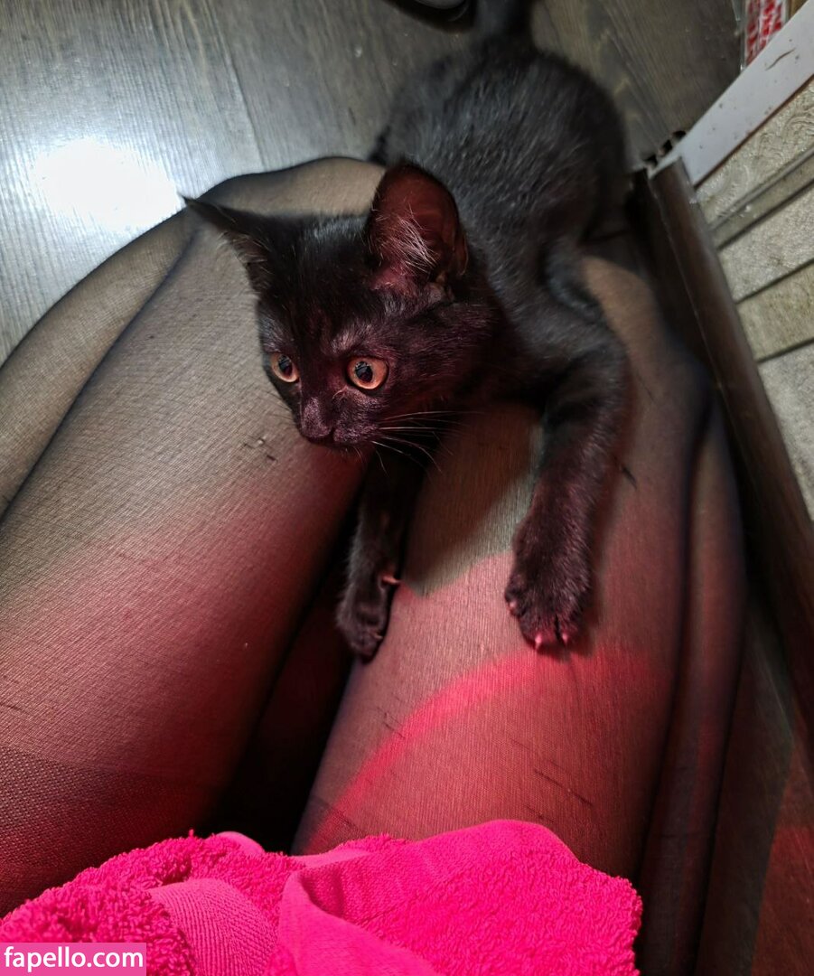 _kkexitt_ Nude Leaked  Photo #118