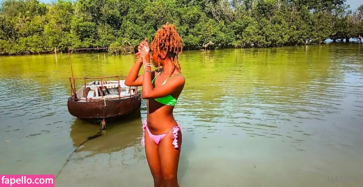 llepinky Nude Leaked OnlyFans Photo #29