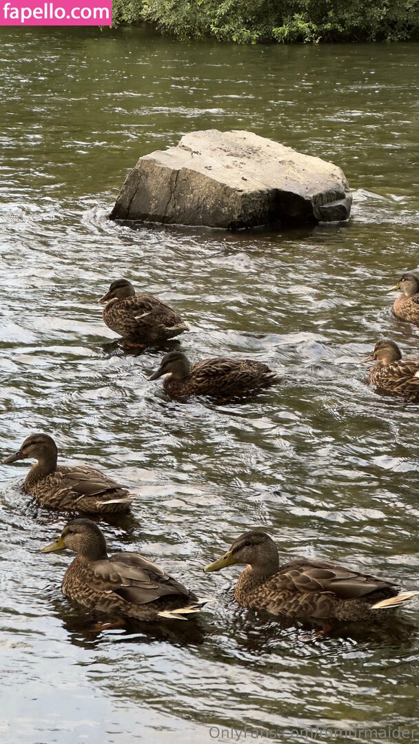 Emma Olofsson / mmurmaider Nude Leaked OnlyFans Photo #87