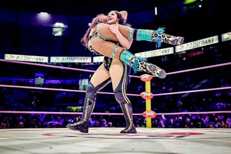 Sasha Banks #2995