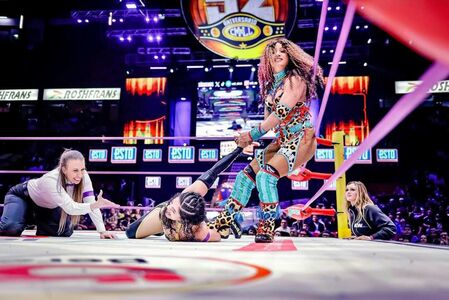 Sasha Banks #2996