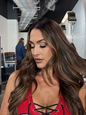 The Bella Twins: