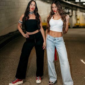 The Bella Twins: #1174