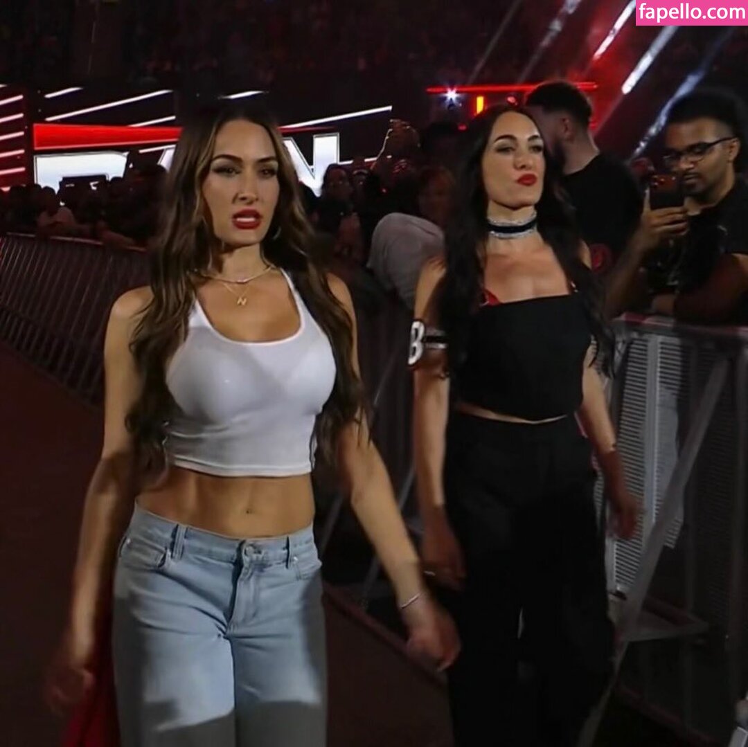 The Bella Twins: #1176