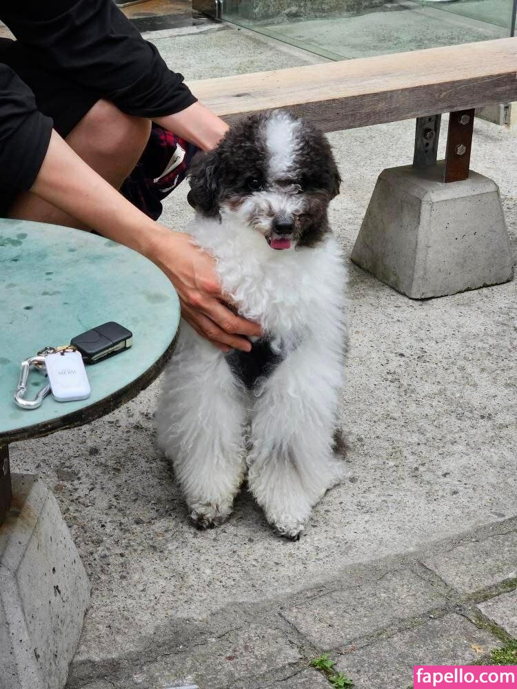 iamnobody89757 / xxapple / xxapple_e / xxapple_e2 / xxapplee Nude Leaked OnlyFans Photo #431