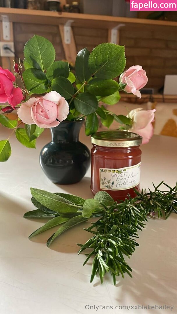 xxblakebailey Nude Leaked OnlyFans Photo #64