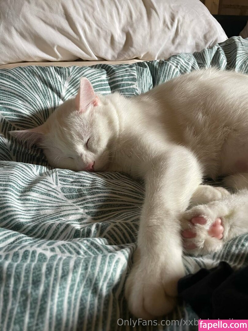 xxblakebailey Nude Leaked OnlyFans Photo #65