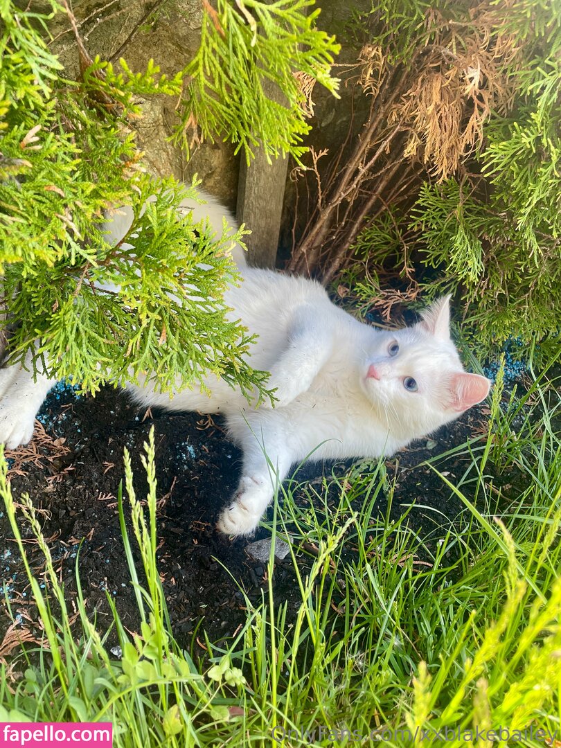 xxblakebailey Nude Leaked OnlyFans Photo #143