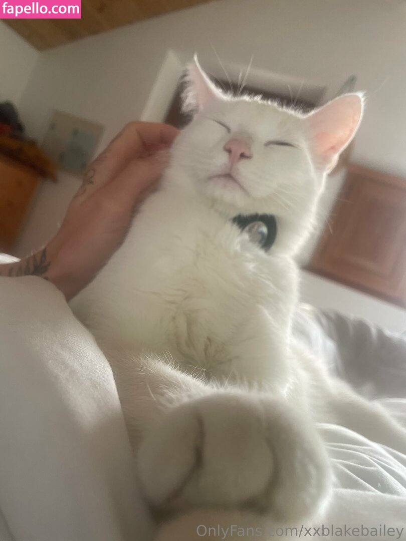 xxblakebailey Nude Leaked OnlyFans Photo #144