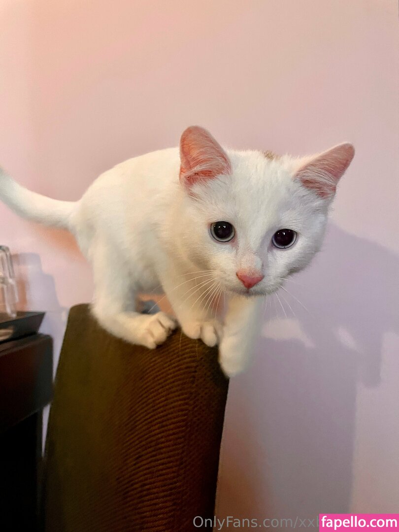 xxblakebailey Nude Leaked OnlyFans Photo #154