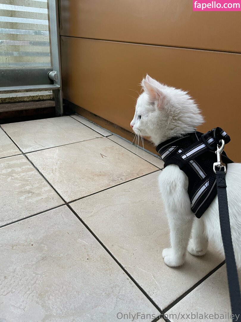 xxblakebailey Nude Leaked OnlyFans Photo #155