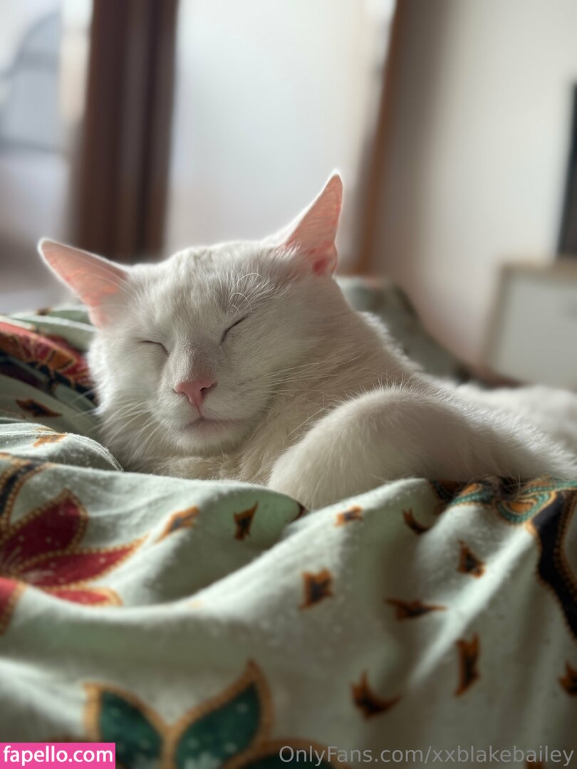 xxblakebailey Nude Leaked OnlyFans Photo #167