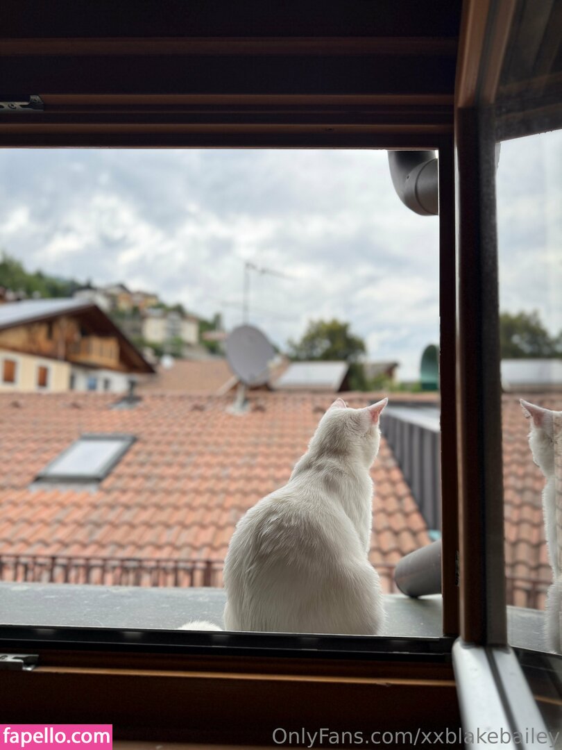 xxblakebailey Nude Leaked OnlyFans Photo #168