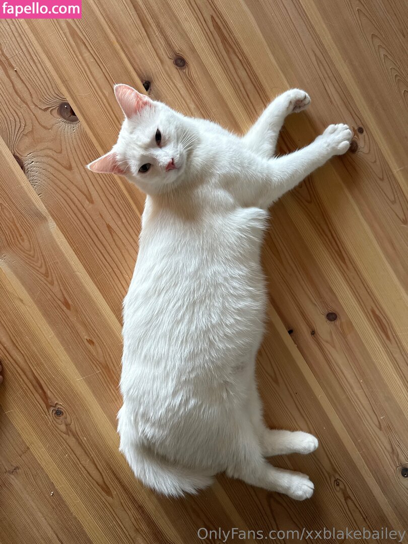 xxblakebailey Nude Leaked OnlyFans Photo #170