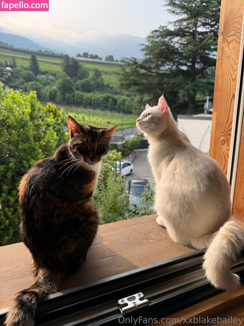 xxblakebailey Nude Leaked OnlyFans Photo #171