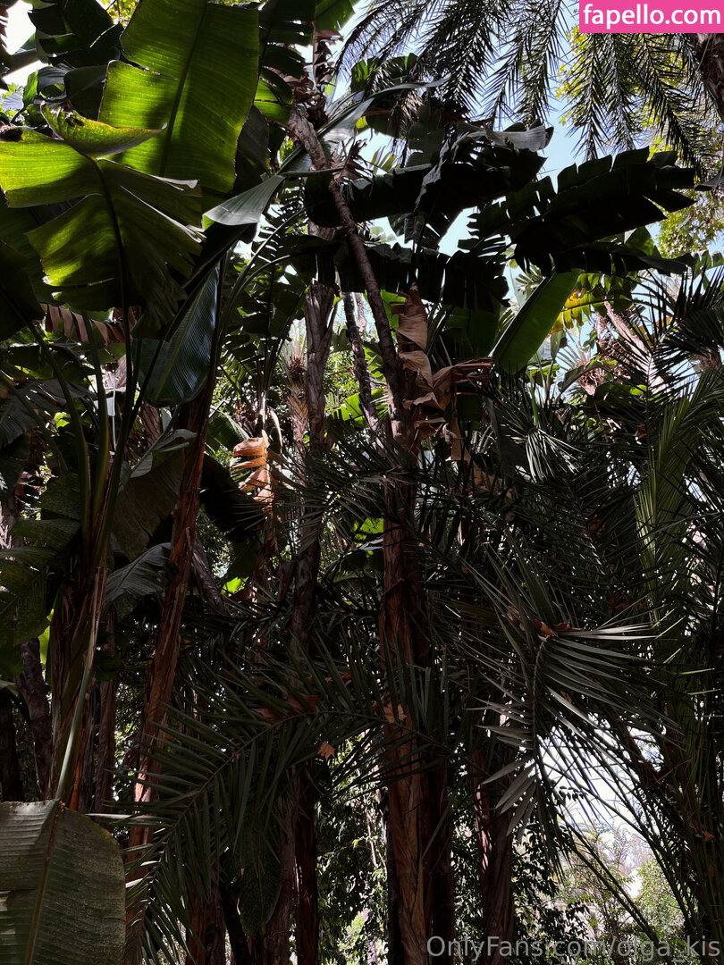 xxxoli Nude Leaked OnlyFans Photo #31