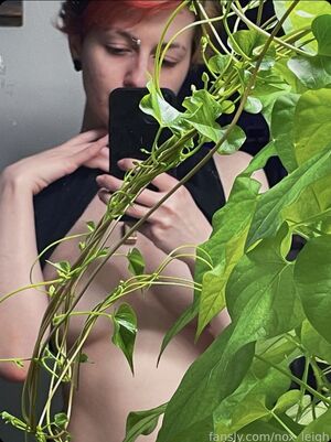 @Nox_leigh Fansly Leaks #4